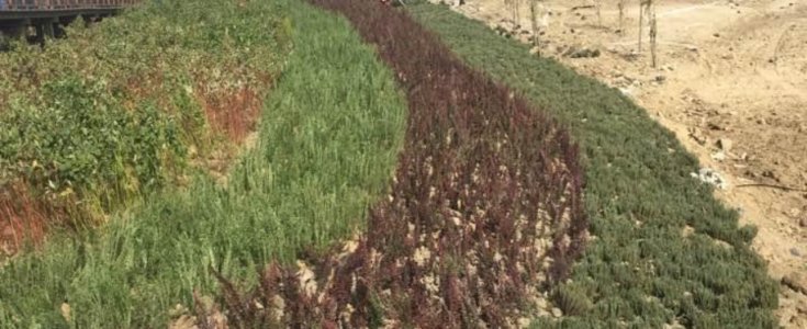 KONYA YOLU PEYZAJ ÇALIŞMASI