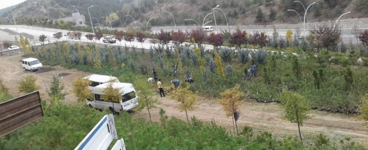 GÖKKUŞAĞI PARKI PEYZAJ ÇALIŞMASI