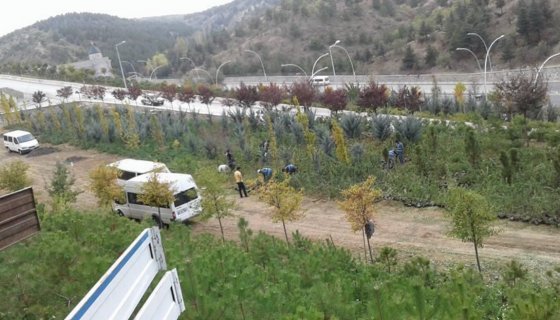 GÖKKUŞAĞI PARKI PEYZAJ ÇALIŞMASI